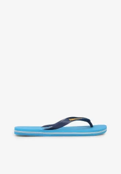 Scalpers Sandals<Havaianas | Brazil Logo Flip Flops