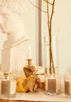 Scalpers Fragrances<Madagascar Vanilla Candle