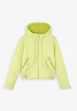 Scalpers Jackets And Vests<Padded Hooded Jacket