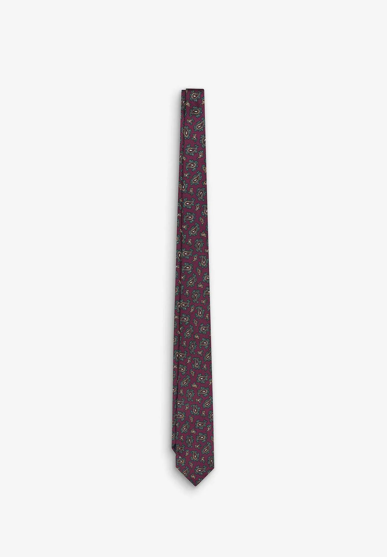 Scalpers Ties<Paisley Tie