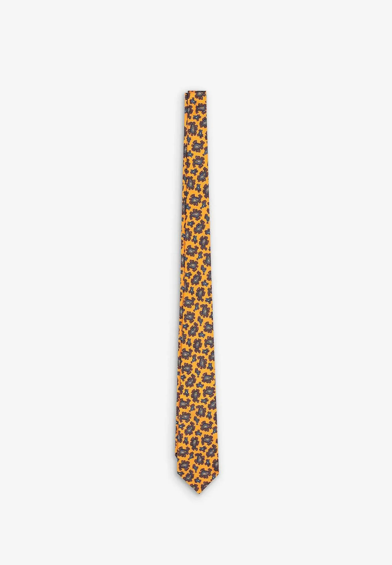 Scalpers Ties<Paisley Tie